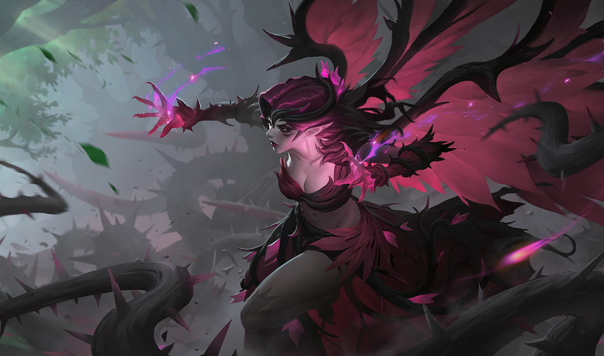 Morgana Aculeo Nero